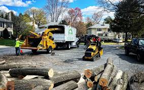 Winnsboro Mills, SC Tree Services Company